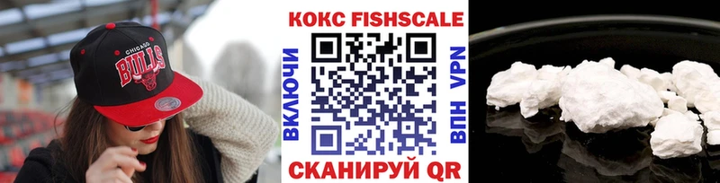 Купить закладки  Собинка  Cocaine Fish Scale 