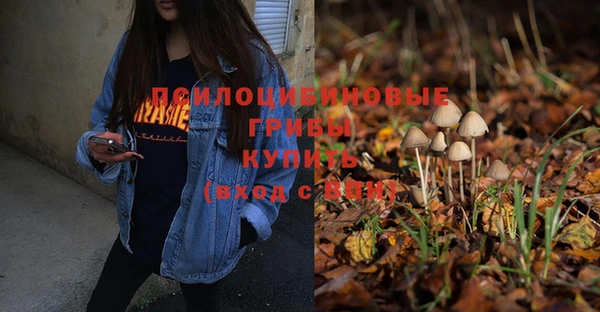 дурь Карталы