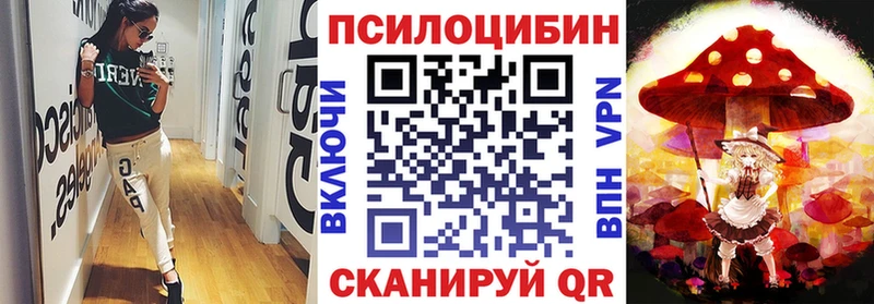 Купить  Собинка  Галлюциногенные грибы Magic Shrooms 